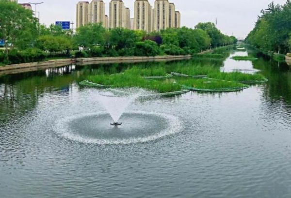 城市河道水循環(huán)凈化綜合調(diào)控技術(shù)